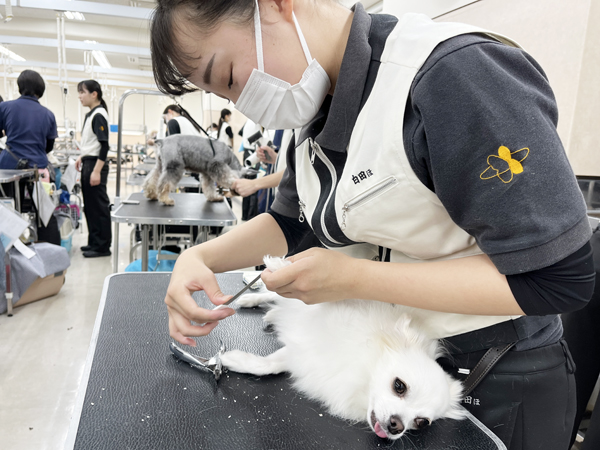 今年最後の登校日！